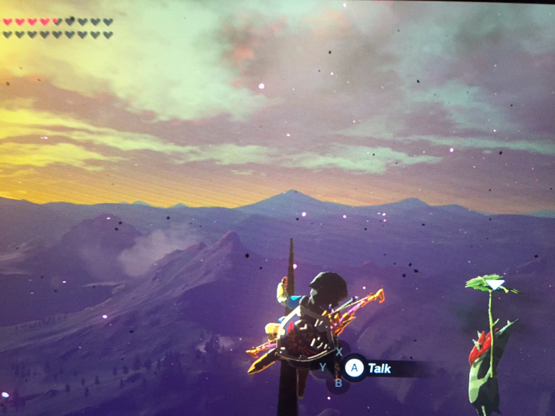 Illustration for article titled Here are Some of my Favorite Screenshots from The Legend of Zelda: Breath of the Wild
